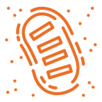 First Mover Technology logo